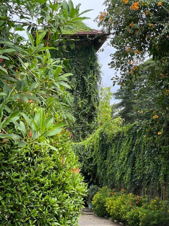 Udf Nature Villa Kandy Dış mekan fotoğraf