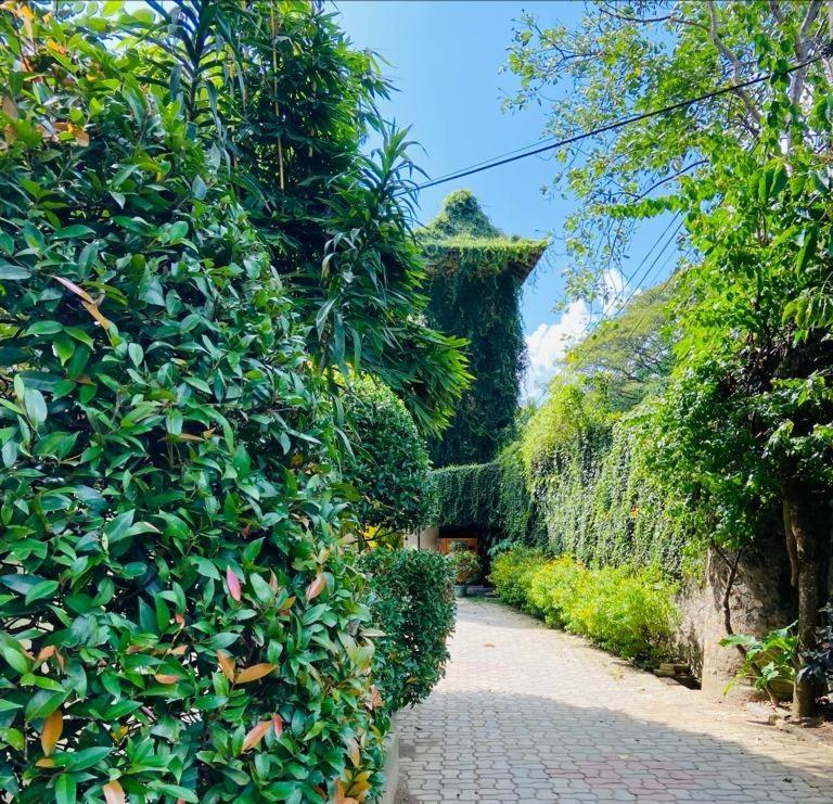 Udf Nature Villa Kandy Dış mekan fotoğraf