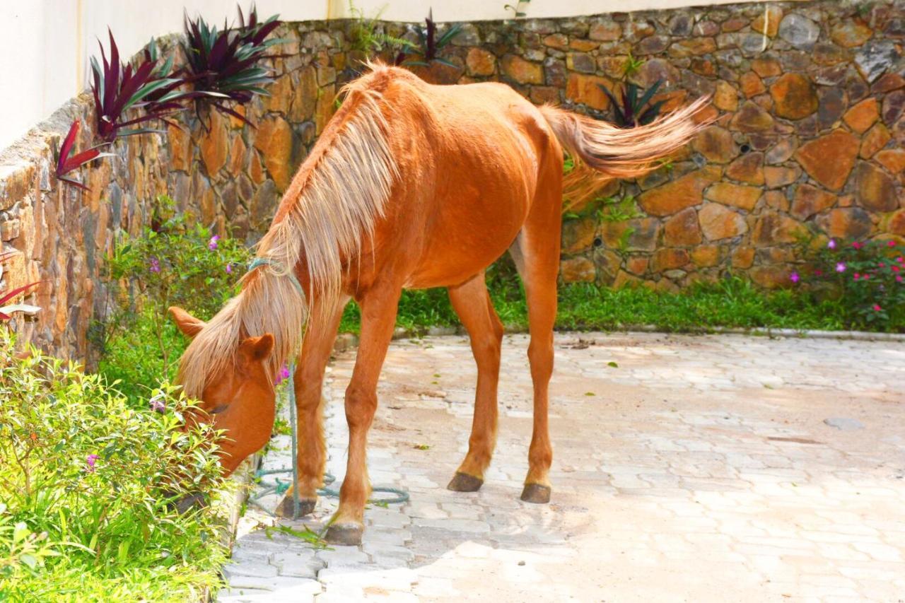 Udf Nature Villa Kandy Dış mekan fotoğraf